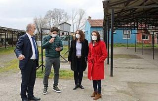 Mudanya’ya sokak hayvanları rehabilitasyon merkezi...