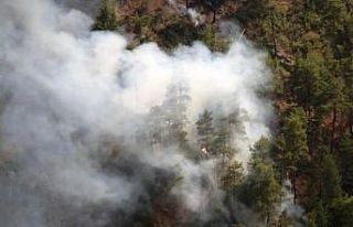 Muğla’da iki farklı noktada orman yangını çıktı