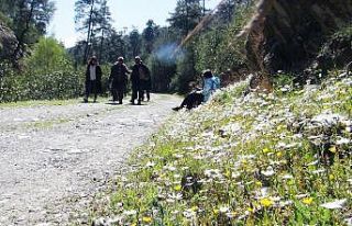 Muğla’nın akciğerlerine ziyaretçi akını