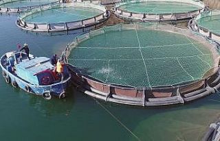 Muğla’nın ihracatı yüzde 44,3 arttı