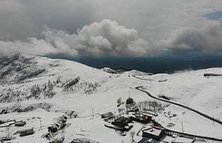 Muş’ta yüksek kesimdeki köyler beyaza büründü