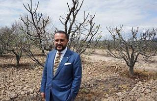 Nar ve ayva üreticisi tarlada eğitimli ara eleman...