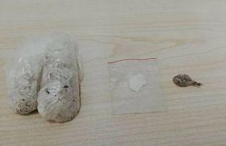 Narkotik köpeği Sarik affetmedi