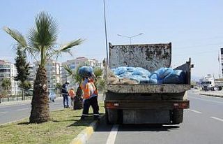 Nazilli karayolunda yaz temizliği başladı