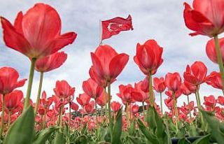 Nevşehir’de bahar güzelliği
