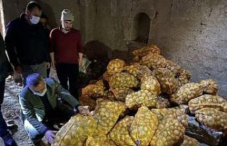 Niğde’den patatesler tırlarla farklı illere gönderiliyor