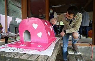 Nilüfer’e rengârenk Kedi Köyü