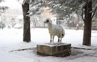 Nisan ayında Karaman’a yağan kar, ulaşımı ve...