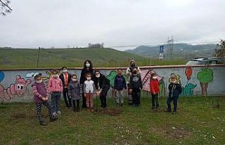 Öğrenciler ve öğretmenler 25 farklı fidanı toprakla...