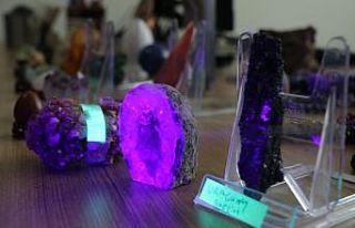 Öğretim üyesinin taş koleksiyonu göz kamaştırıyor