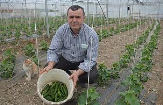 Öğretmenliği bıraktı, çiftlik kurdu