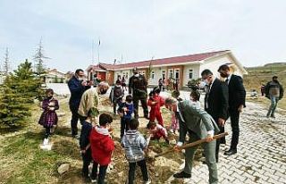 Okul bahçesinde fidan dikimi