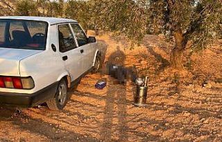 Ölüm tarlada yakaladı