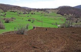 Ordu’nun atıl arazileri tarımla buluştu