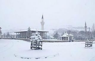 Ordu’nun bin 500 rakımlı yaylasında kar manzaraları