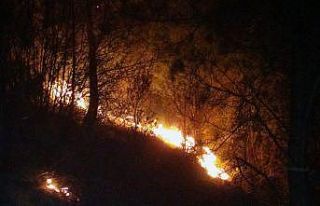 Orman yangınları erken başladı