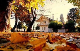 Osman Hamdi Bey Müzesi bakanlığın prestij müzesi...