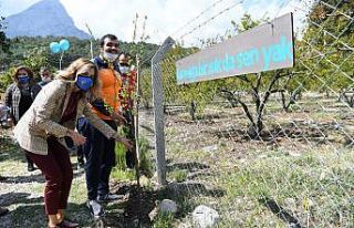 Otizmli bireyler fidan dikti.