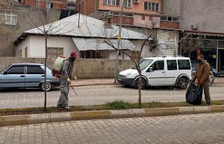 Otluk alanlarda ilaçlama çalışması yapılıyor