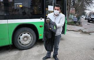 Otobüs şoförü yol kenarında bulduğu yaralı...