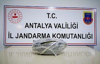 Otobüsle uyuşturucu ticareti jandarmaya takıldı