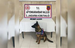 Otomobil kolçağından uyuşturucu hap, sigara paketinden...