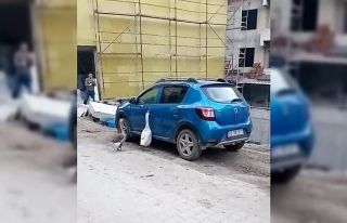 Otomobilin kapısını açmaya çalışan kazlar tebessüm...