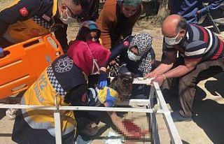 Oyun oynarken üzerine demir askılık düştü, kanca...