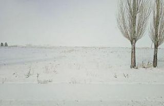 Özalp ilçesinde kar sürprizi