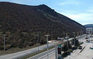 (Özel haber) "Leylek apartmanı" sakinlerine...