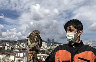 (Özel) Kartal’da aç kalan yırtıcı şahin kent...