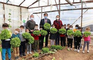 (Özel) Minikler serada organik sebze yetiştiriyor