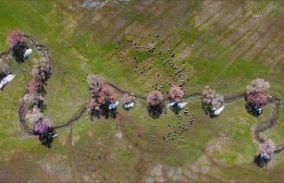 (Özel) Muş’ta iki mevsim bir arada