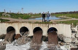 (Özel) Nehir değil zehir