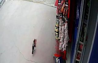 (Özel)- Pendik’te ‘cips hırsızı’ karga,...
