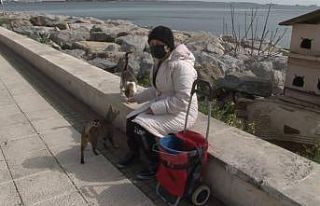 (Özel) Pendik’te kısıtlama günü sokak hayvanlarını...