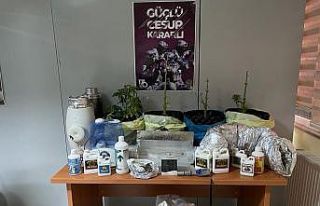(Özel) Sarıyer’de “saksıda hint keneviri”...
