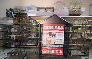 (Özel) Sokak hayvanları için esnaftan askıda mama...