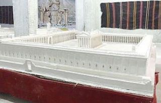 (ÖZEL) Suriyeli Ali Taha, doğduğu Palmira antik...