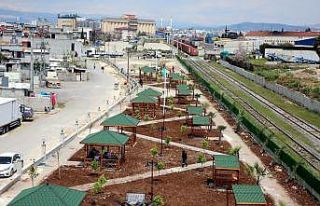 Özgürlük Mahallesinde 9,5 dönümlük parkın çalışmaları...