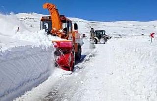 Palandöken geçidi ulaşıma açıldı