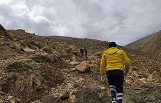 Pancar toplamak isterken kayalıklardan düştü