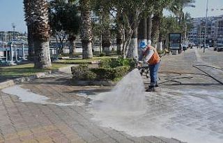 Pandemiye karşı doğa dostu temizlik