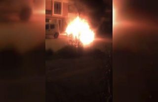 Park halindeki otomobil alev topuna döndü