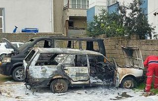 Park halindeki otomobil ile ticari araç yandı