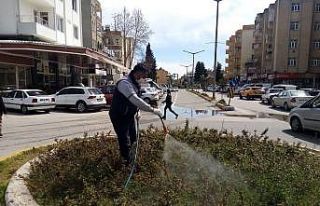 Parklarda haşere mücadelesi