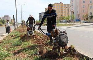 Parklarda hummalı çalışma