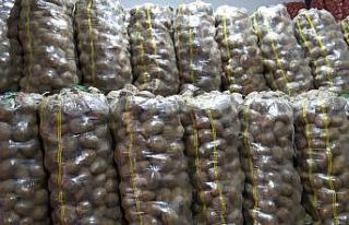 Patates ve soğan hareketliliğinden üretici de memnun...
