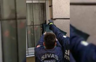 Pencere korkuluğunda asılı kalan kediyi itfaiye...