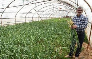 Pendik’te üreticiye pazar yeri desteği